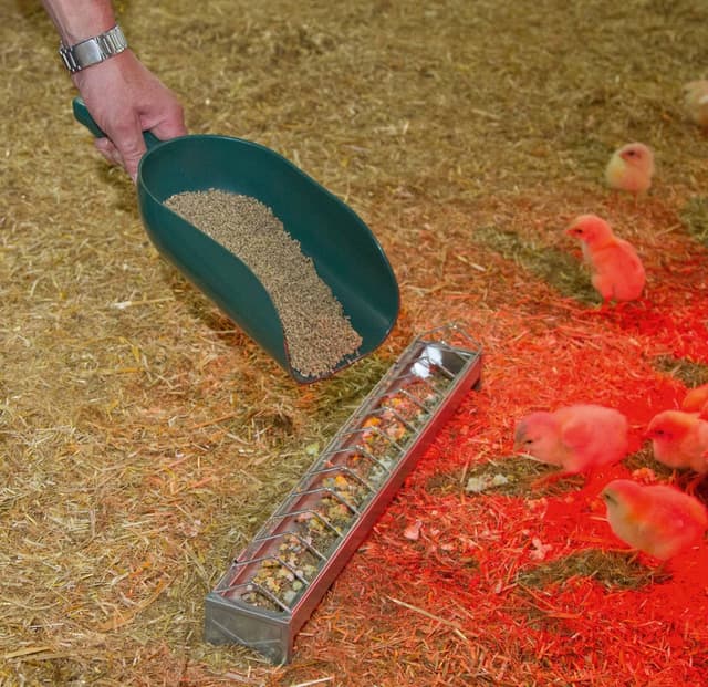Łopatka do paszy, 2000 g, zielony, Kerbl