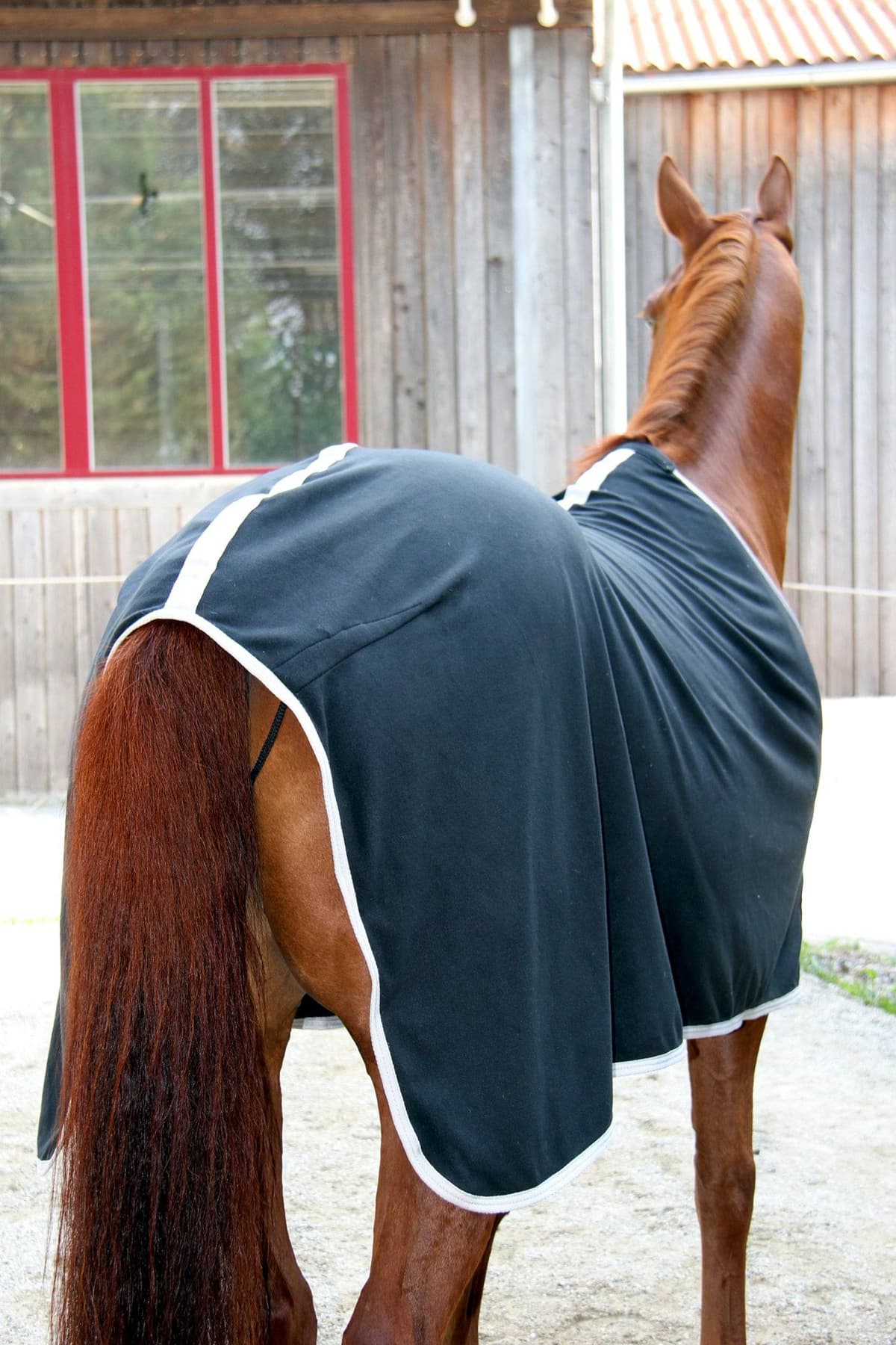 Derka polarowa dla konia RugBe Economic, czarny, 165 cm, Covalliero