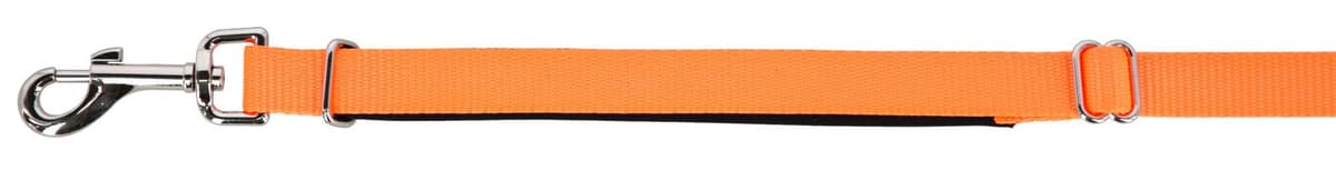 Smycz dla psa Miami, 180 cm x 20 mm, pomarańczowa, Kerbl