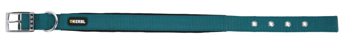 Obroża dla psa Miami Plus, 38 - 46 cm x 25 mm, turkusowa, Kerbl