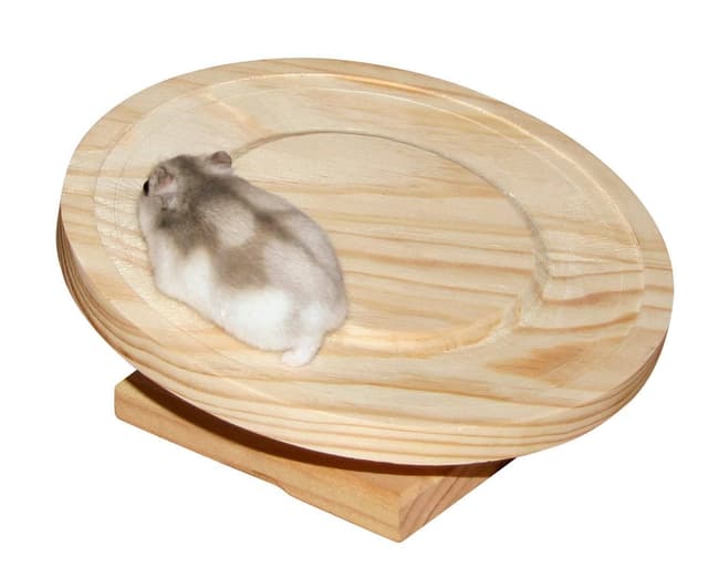Obrotowe koło dla chomika, drewniane, 20 cm, Kerbl