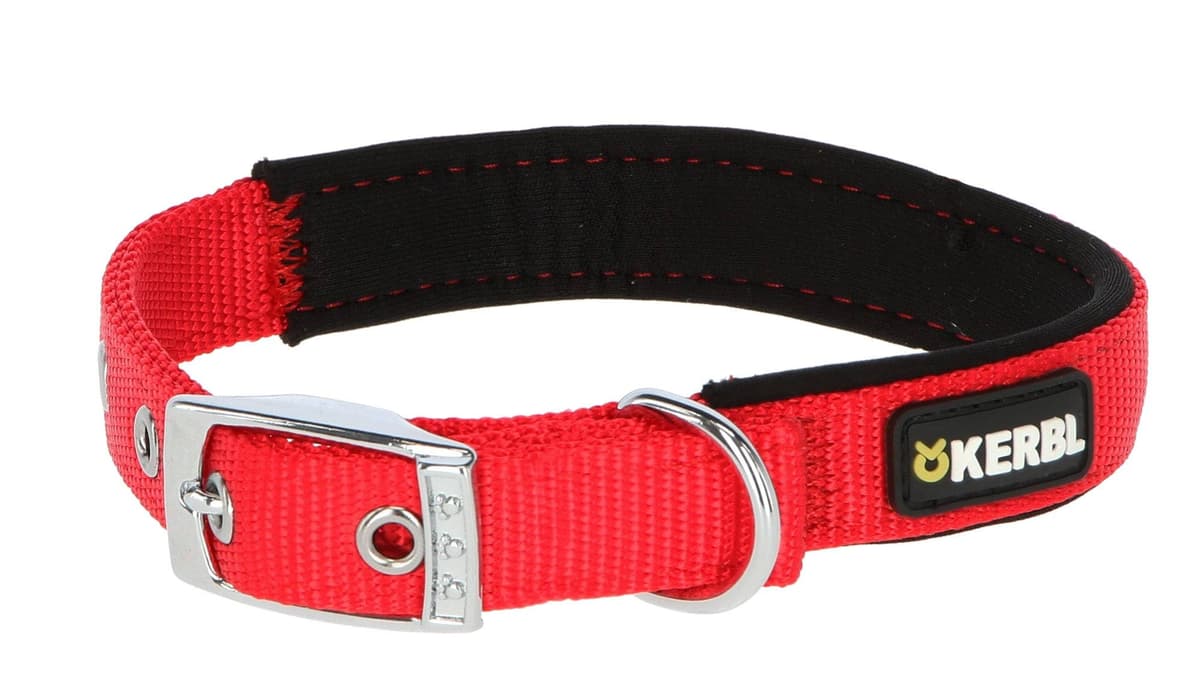 Obroża dla psa Miami Plus, 38-46 cm, 25 mm, czerwona, Kerbl