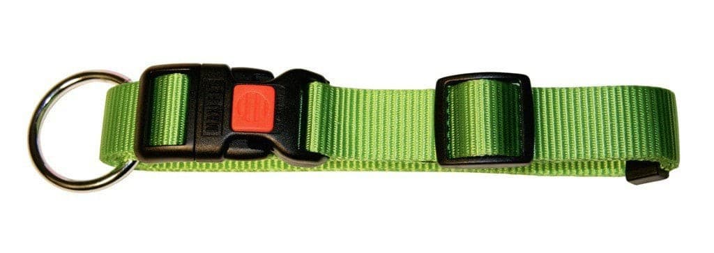 Obroża dla psa Miami, 20 - 35 cm x 10 mm, zielona, Kerbl