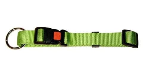 Obroża dla psa Miami, 40 - 55 cm x 20 mm, zielona, Kerbl
