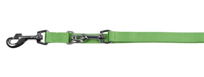 Smycz dla psa Miami, 200 cm x 15 mm, zielona, Kerbl