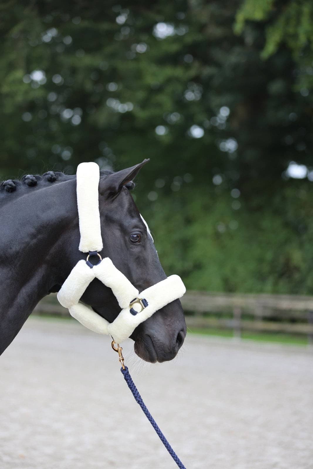 Kantar SuperSoft dla konia, granatowy, rozmiar Pony, Covalliero