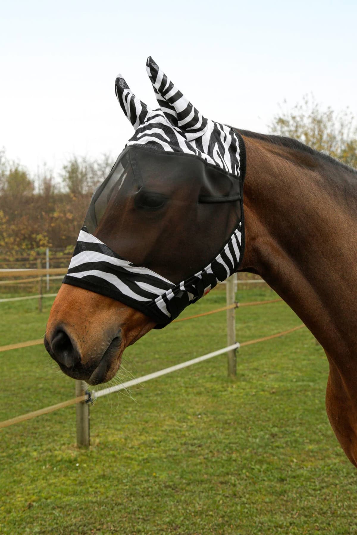 Maska przeciwowadowa dla konia z uszami Zebra, roz. Cob, Covalliero