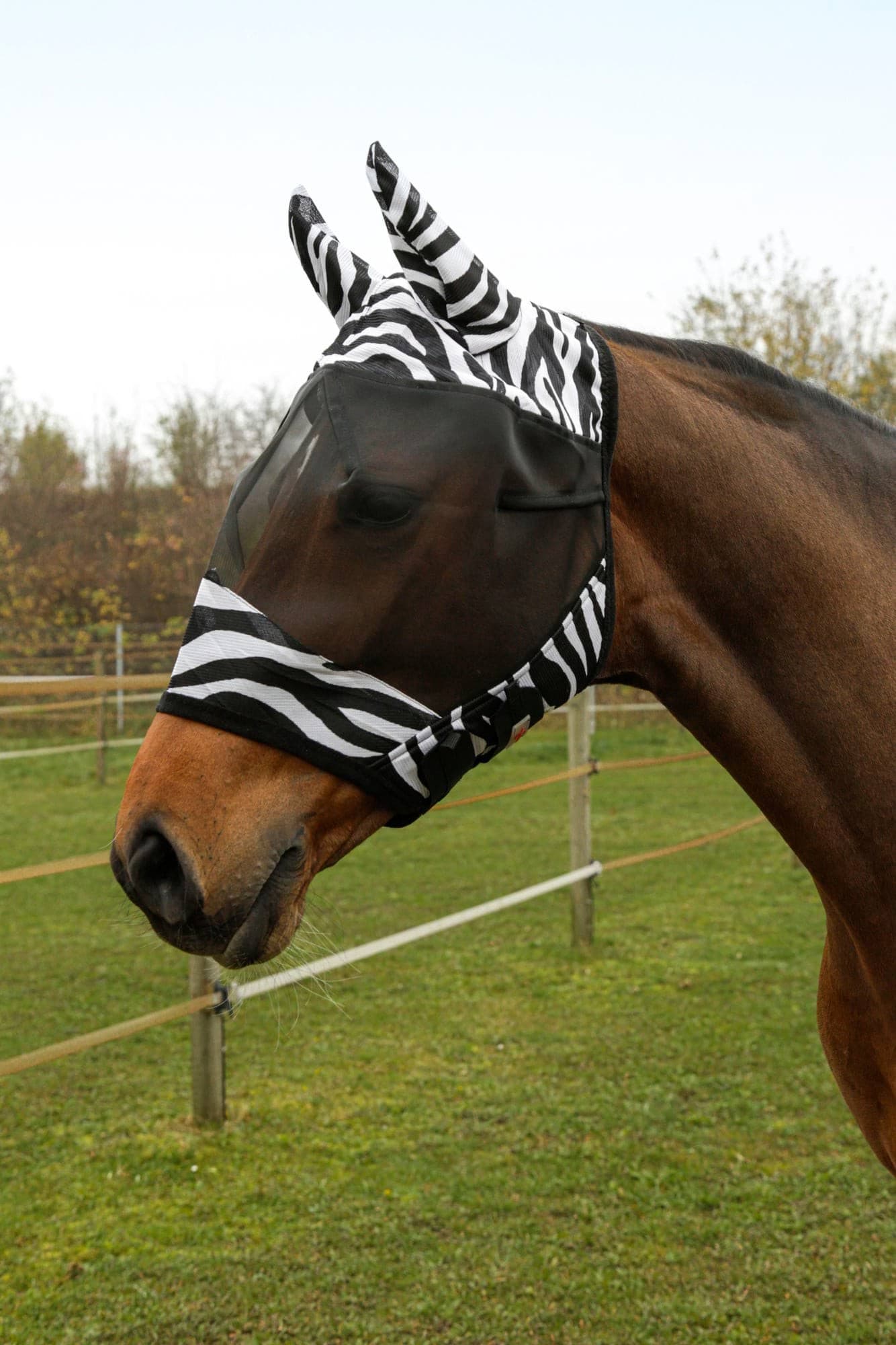 Maska przeciwowadowa dla konia z uszami Zebra, roz. Cob, Covalliero