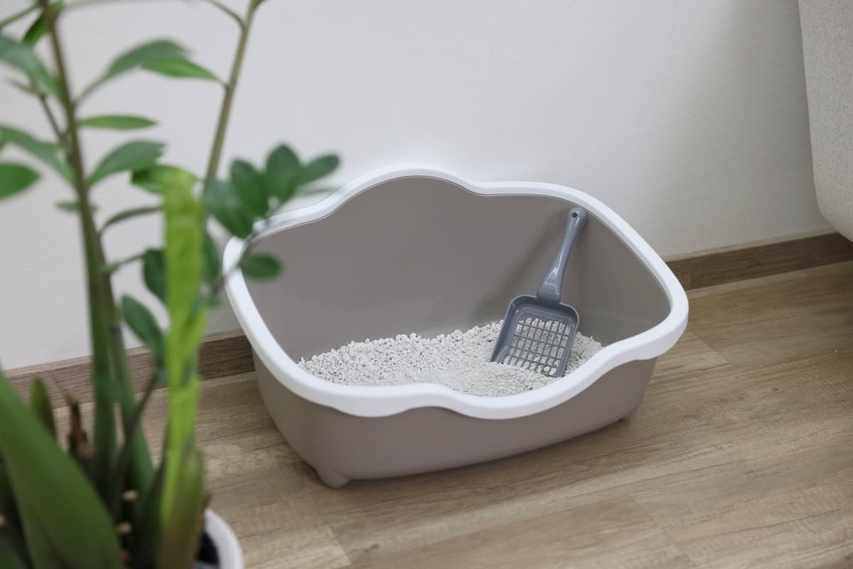 Kuweta  Tres Chic Open,  brązowo-biała, 56 x 38,5 x 26 cm, Stefanplast