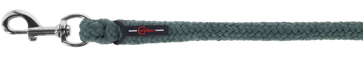 Uwiąz dla konia Doria, karabińczyk, 200 cm, zielony, Covalliero