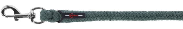 Uwiąz dla konia Doria, karabińczyk, 200 cm, zielony, Covalliero