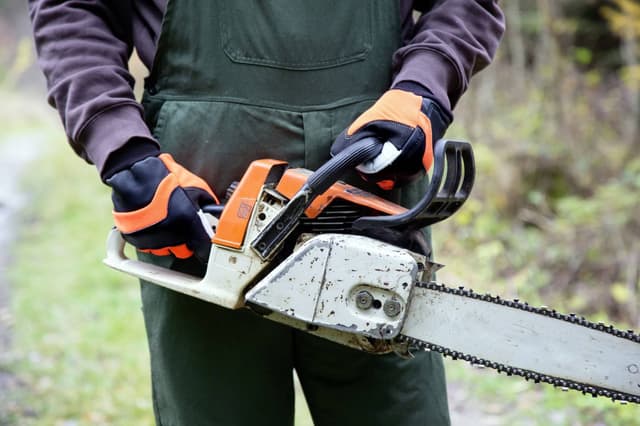 Rękawice robocze Forester, Kerbl