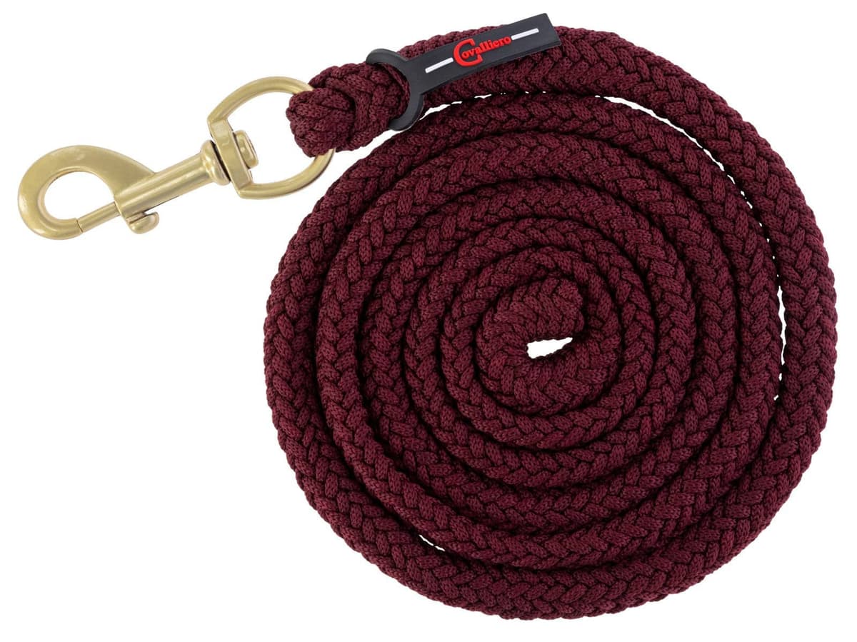 Uwiąz dla konia Classy, zwykły karabińczyk, 200 cm, Covalliero