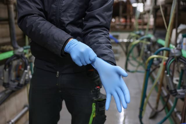 Rękawice nitrylowe Nitrile Top Pro, niebieski, 100 szt., Kerbl
