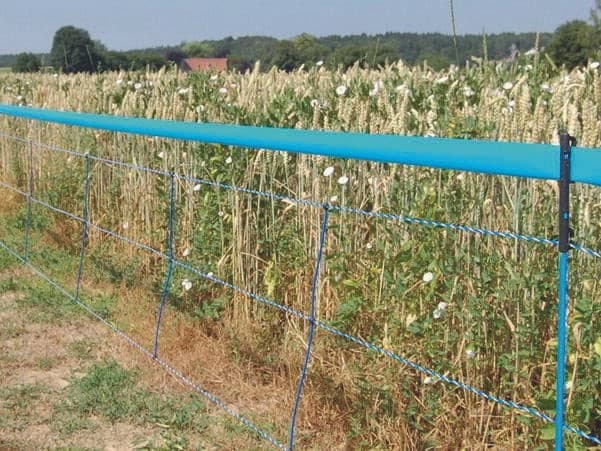 Siatka do ochrony przed dzikami WildNet, 50 m x 90 cm, Kerbl