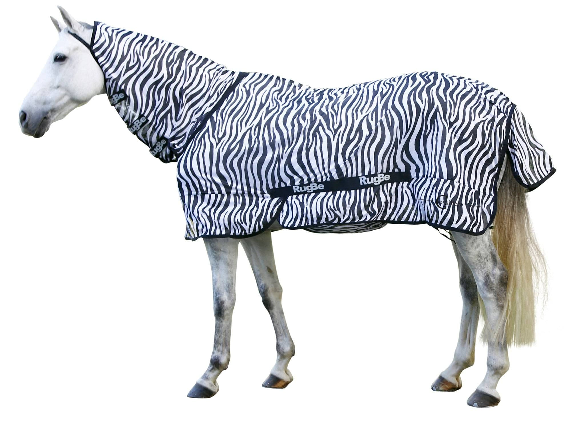 Derka przeciwowadowa dla konia Rugbe Zebra, 155 cm, Covalliero