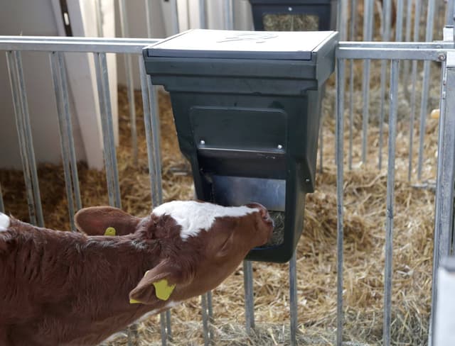 Pojemnik na paszę treściwą, z pokrywką, oliwka, 13 l, Kerbl