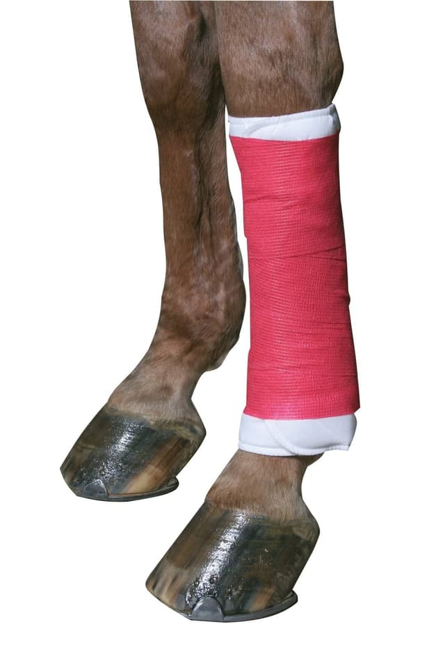 Samoprzylepny bandaż EquiLastic, 10 cm, czerwony, Kerbl