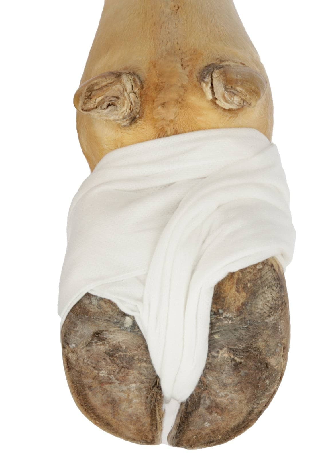 Kompresy opatrunkowe, 10 cm x 5 m, Kerbl