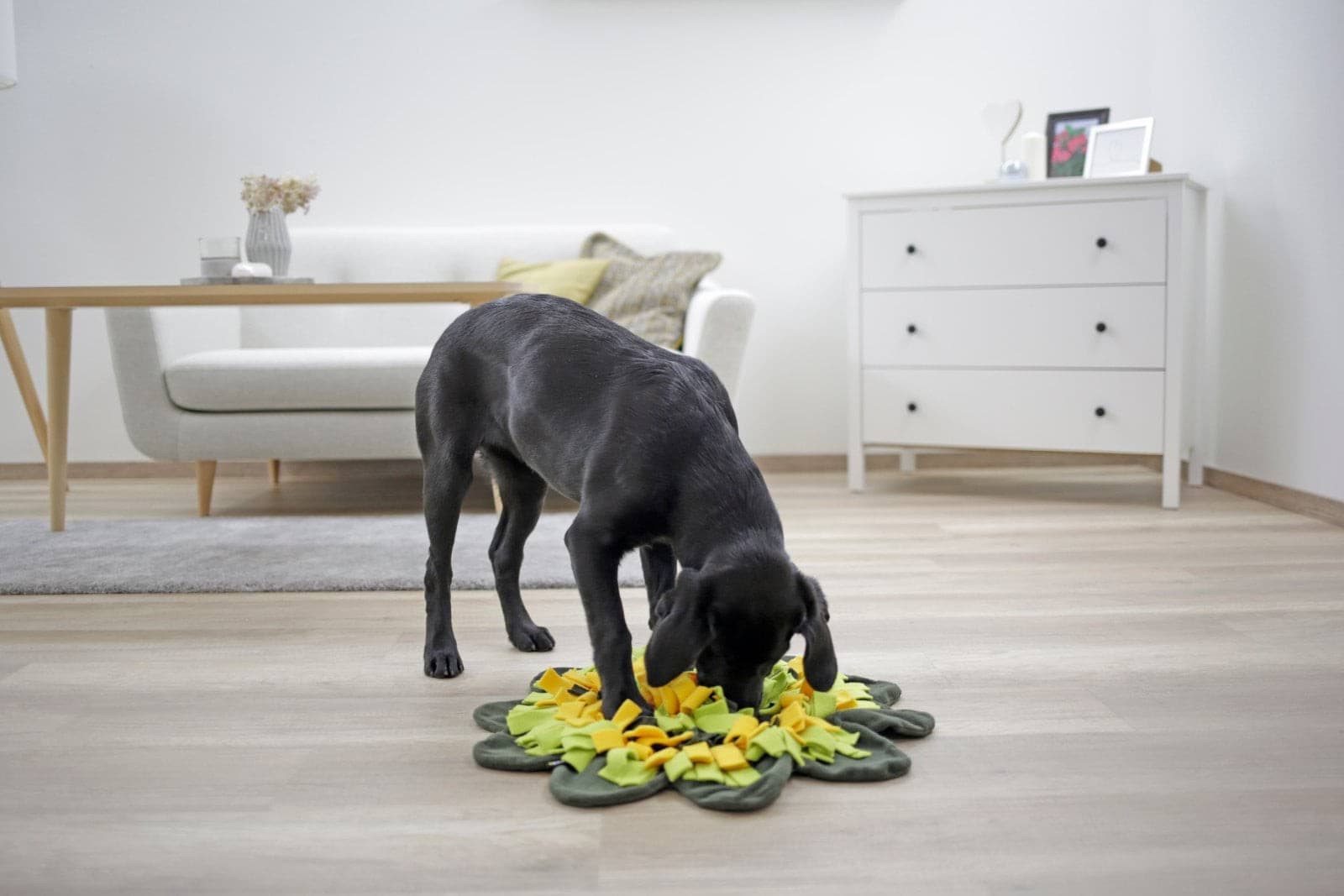 Mata węchowa dla psa Sunflower, Ø 60 cm, Kerbl