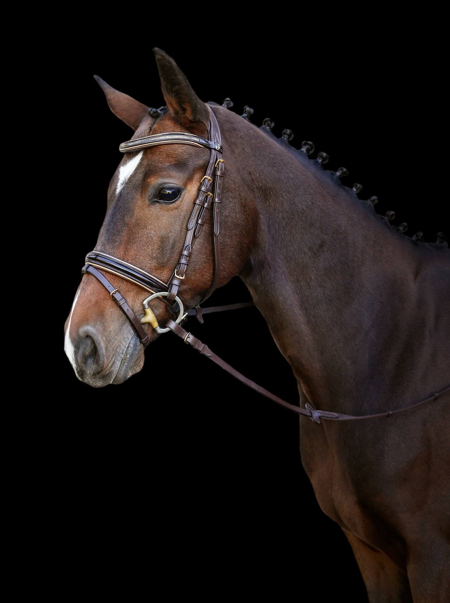 Ogłowie dla konia Kingston, brązowy, roz. Pony, Covalliero