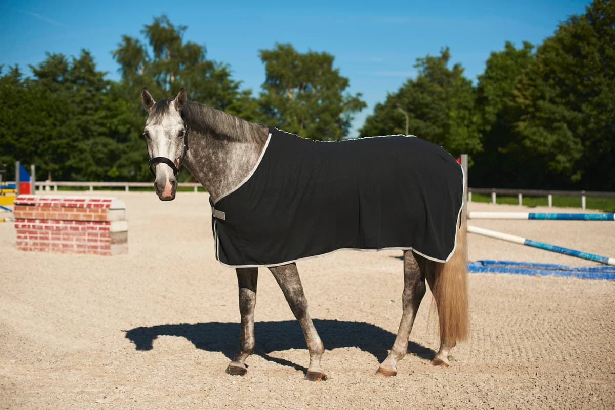 Derka polarowa dla konia RugBe Economic, czarny, 155 cm, Covalliero