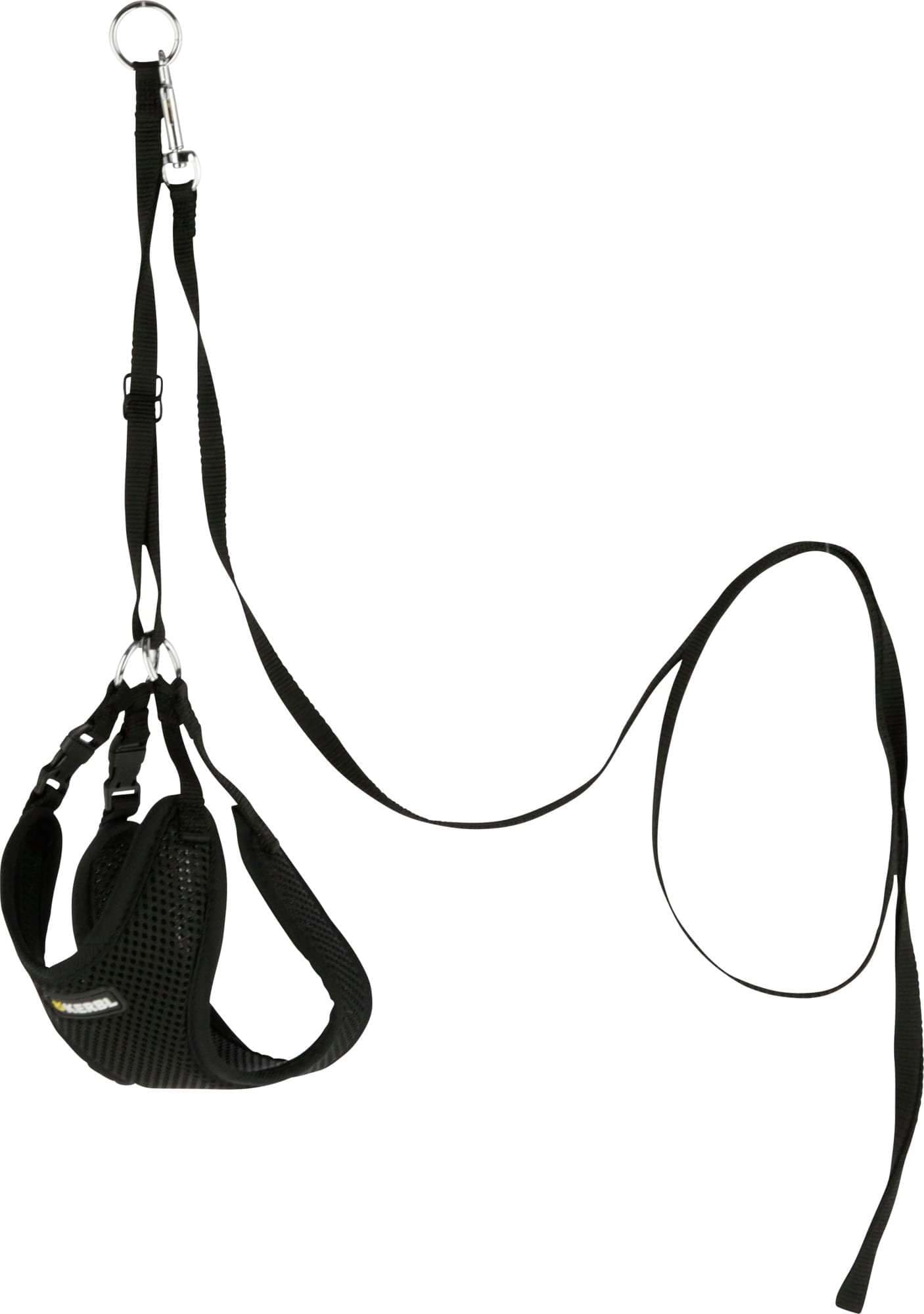 Uprząż dla szczeniąt ze smyczą, 24 - 44 cm x 10 mm, Kerbl