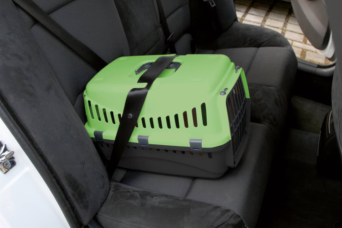 Transporter Expedion 1, 10 kg, zielona/ciemnoszara, Kerbl