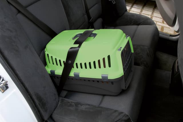 Transporter Expedion 1, 10 kg, zielona/ciemnoszara, Kerbl