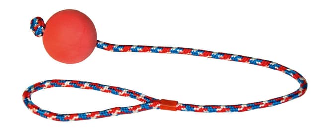 Zabawka dla psa, piłka na lince, 6 cm/60 cm, Kerbl