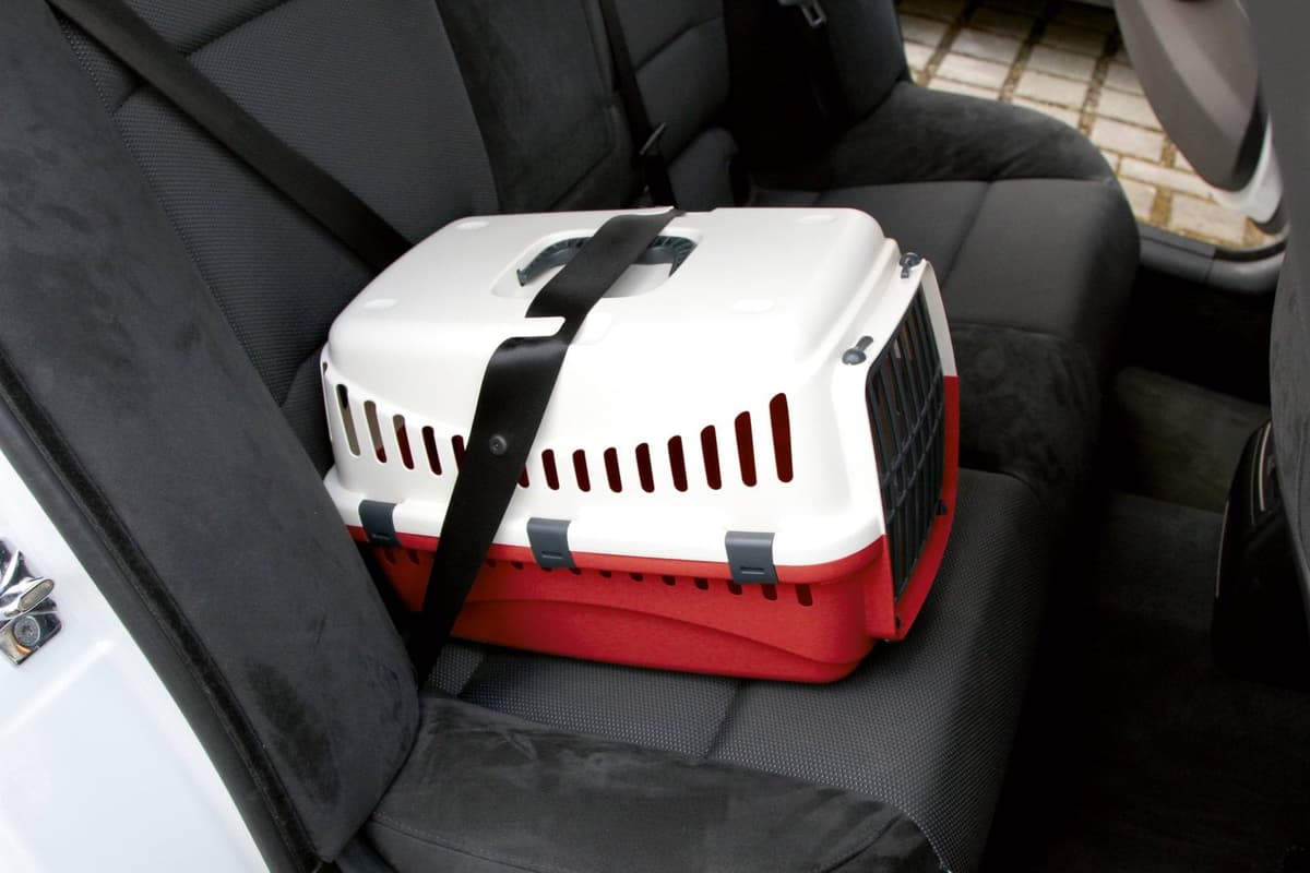 Transporter Expedion 1, 10 kg, kremowa/bordowa, Kerbl