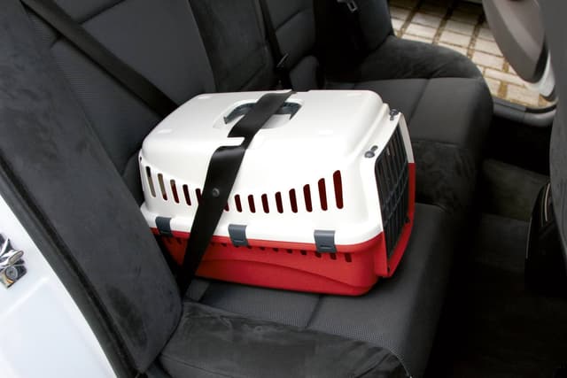 Transporter Expedion 1, 10 kg, kremowa/bordowa, Kerbl