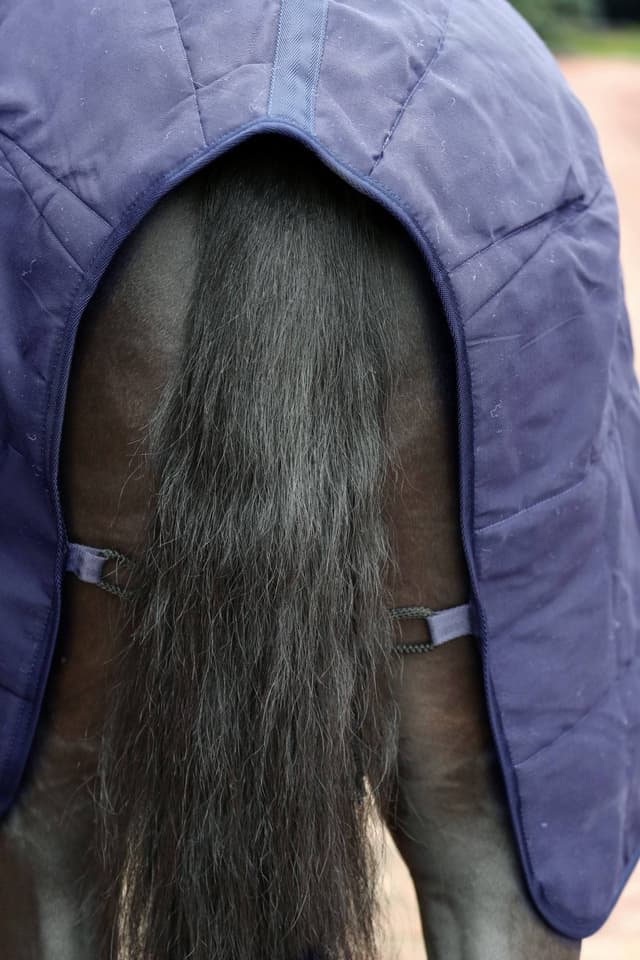 Podderka dla konia RugBe 2in1, granatowy, 115 cm, Covalliero