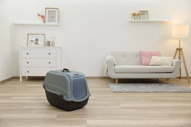 Kuweta Emma Eco, czarno- zielona,  65 cm x 44 x 46 cm, Kerbl