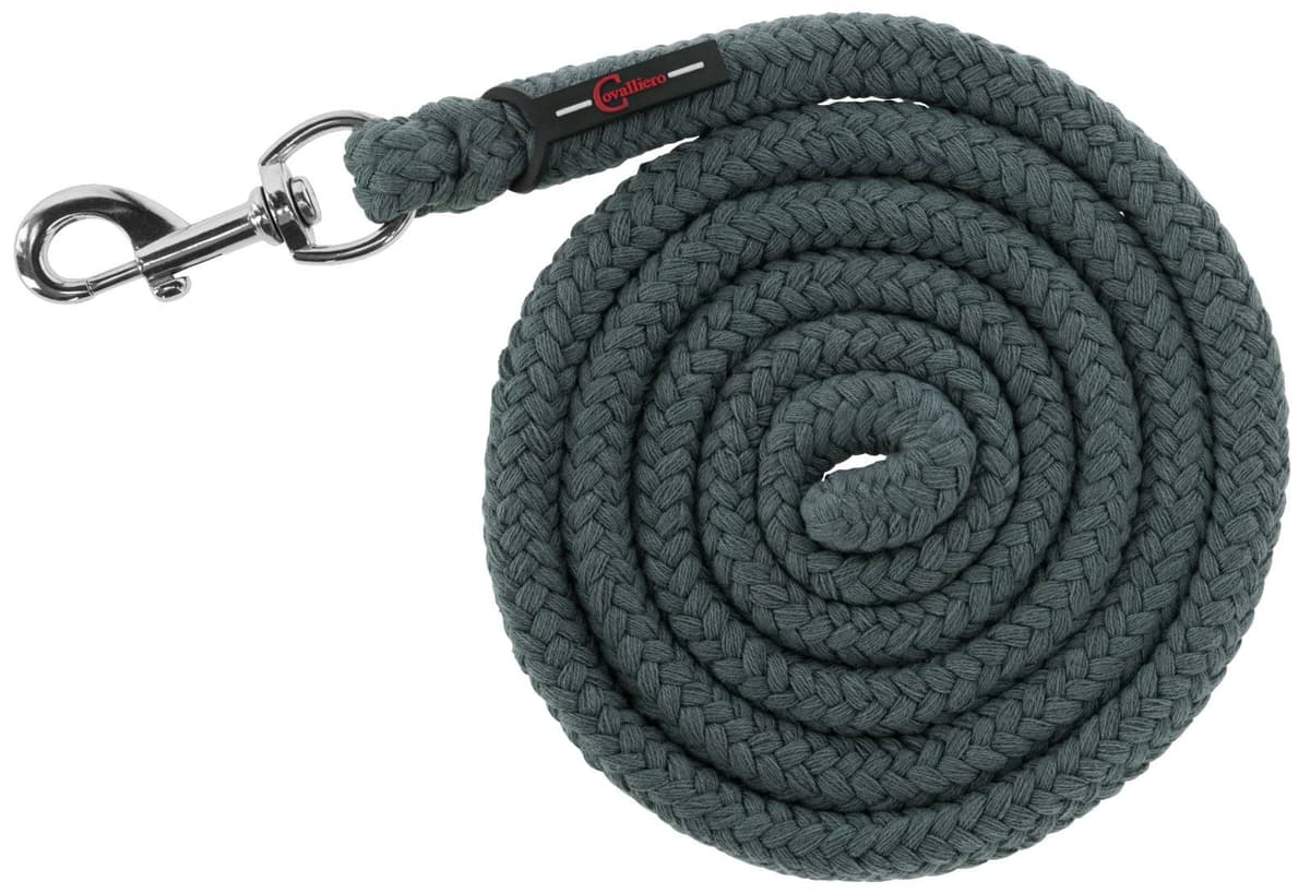 Uwiąz dla konia Doria, karabińczyk, 200 cm, zielony, Covalliero