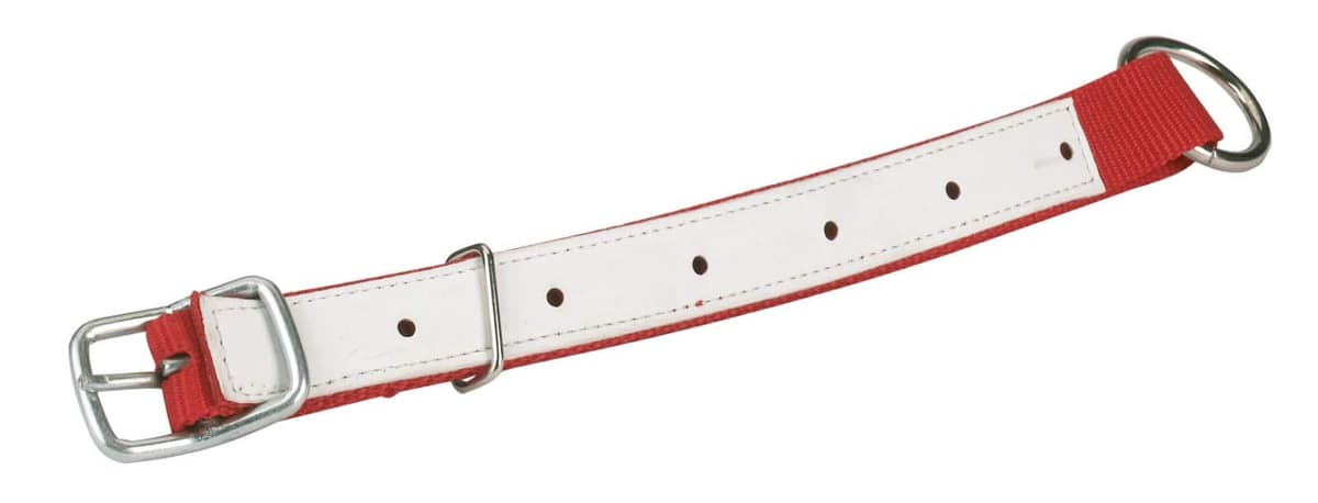 Obroża dla owiec i kóz, czerwona 60 cm