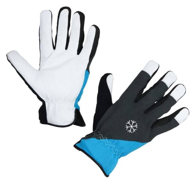 Rękawice zimowe Polartex, Kerbl