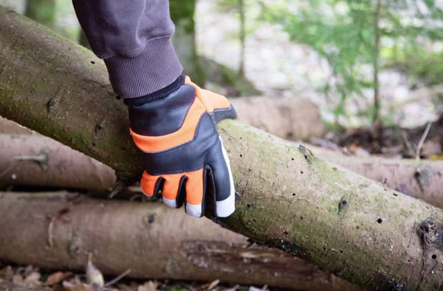 Rękawice robocze Forester, Kerbl