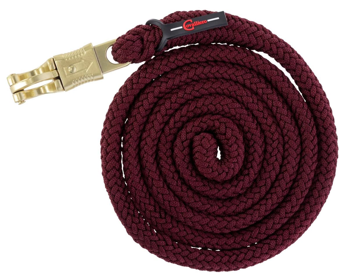 Uwiąz dla konia Classy, bezpieczny karabińczyk, 200 cm, Covalliero