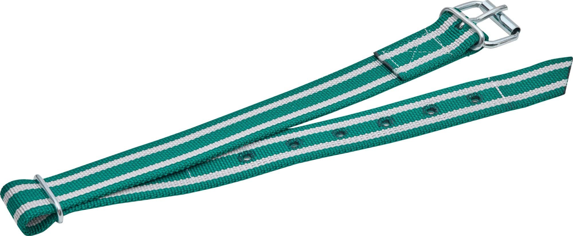 Obroża dla cieląt Classic, 85 x 4 cm, biały/zielony, Can Agri
