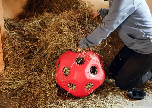 Piłka do zabawy dla konia HeuBoy, 40 cm, różowy, Kerbl