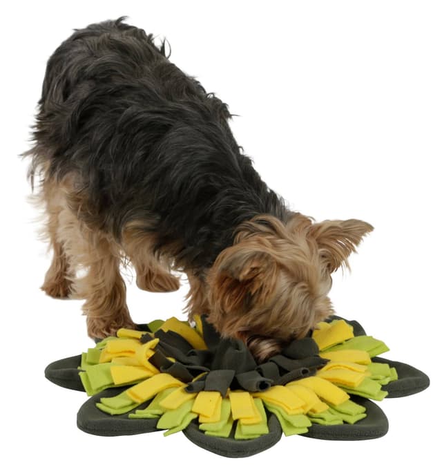 Mata węchowa dla psa Sunflower, Ø 60 cm, Kerbl