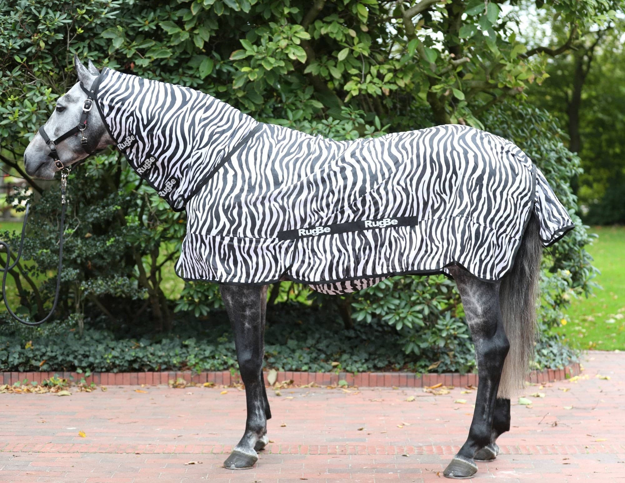 Derka przeciwowadowa dla konia RugBe Zebra, 125 cm, Covalliero