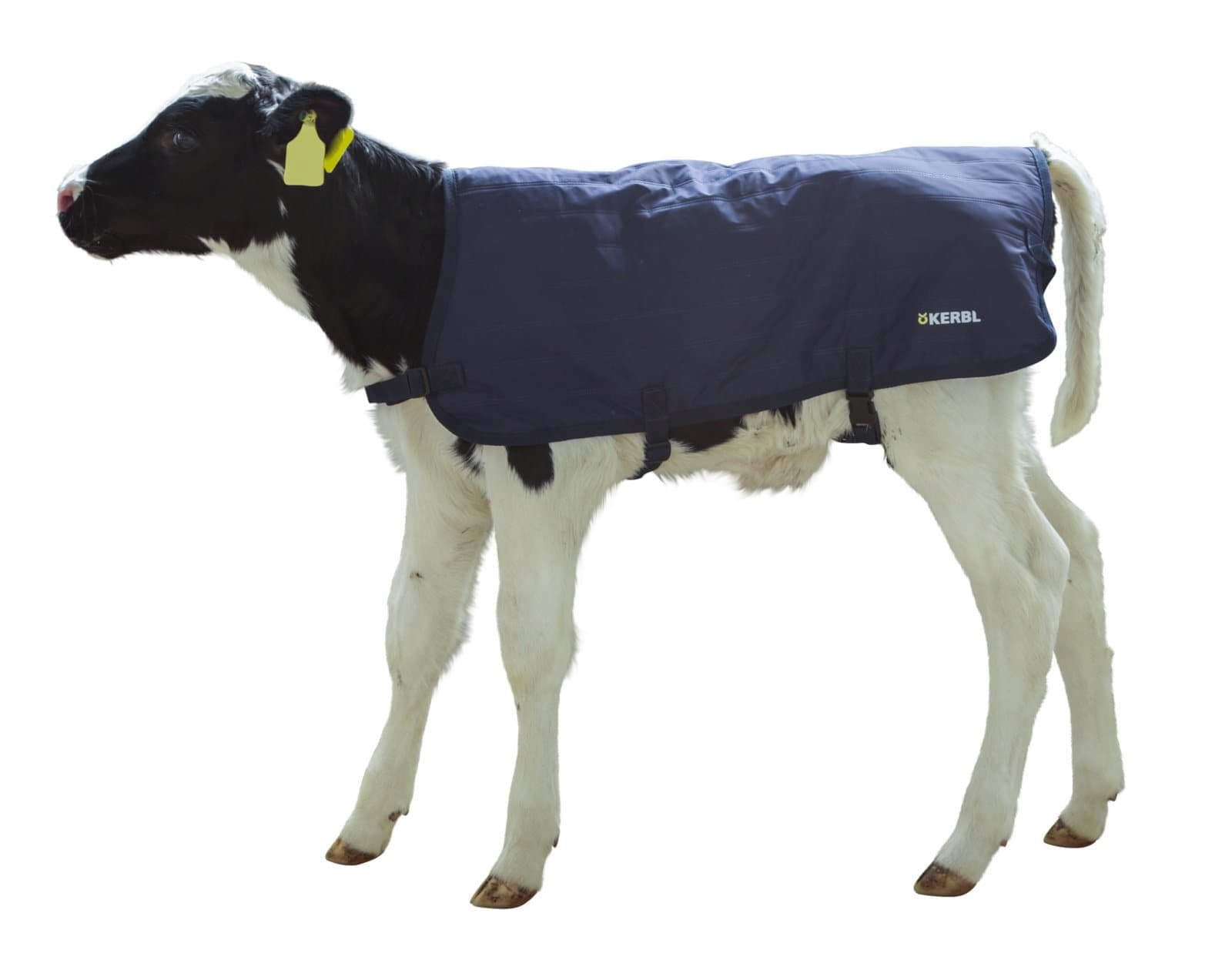Derka dla cieląt EasyWear, 70 cm, granatowa,  Kerbl
