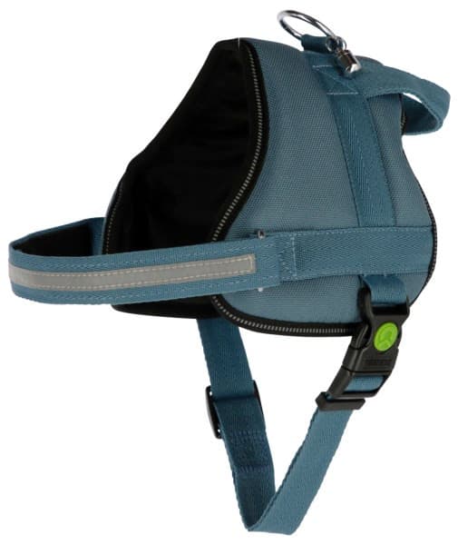 Szelki dla psa Maestro 2.0, 83-113cm x 38mm, turkusowe, Kerbl