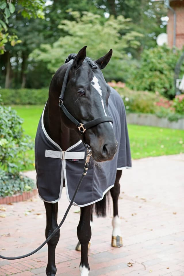 Derka polarowa dla konia RugBe Economic, czarny, 115 cm, Covalliero