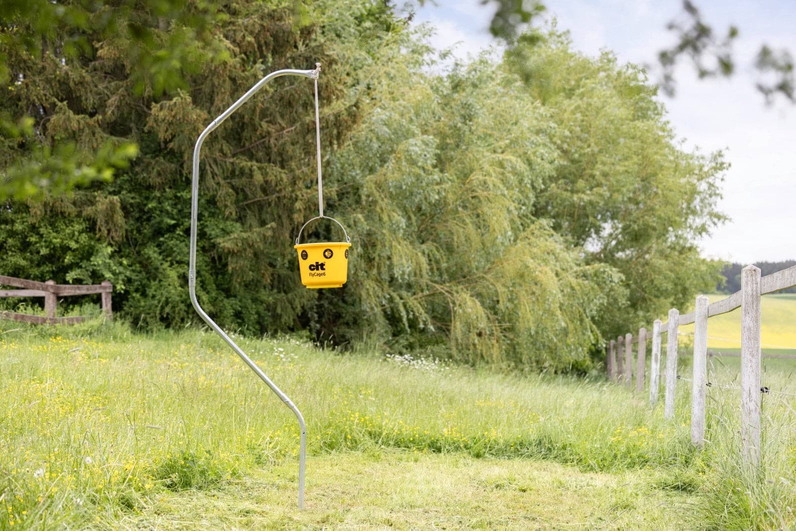 Pułapka na muchy FlyCage6, z atraktantem 200 g, Cit