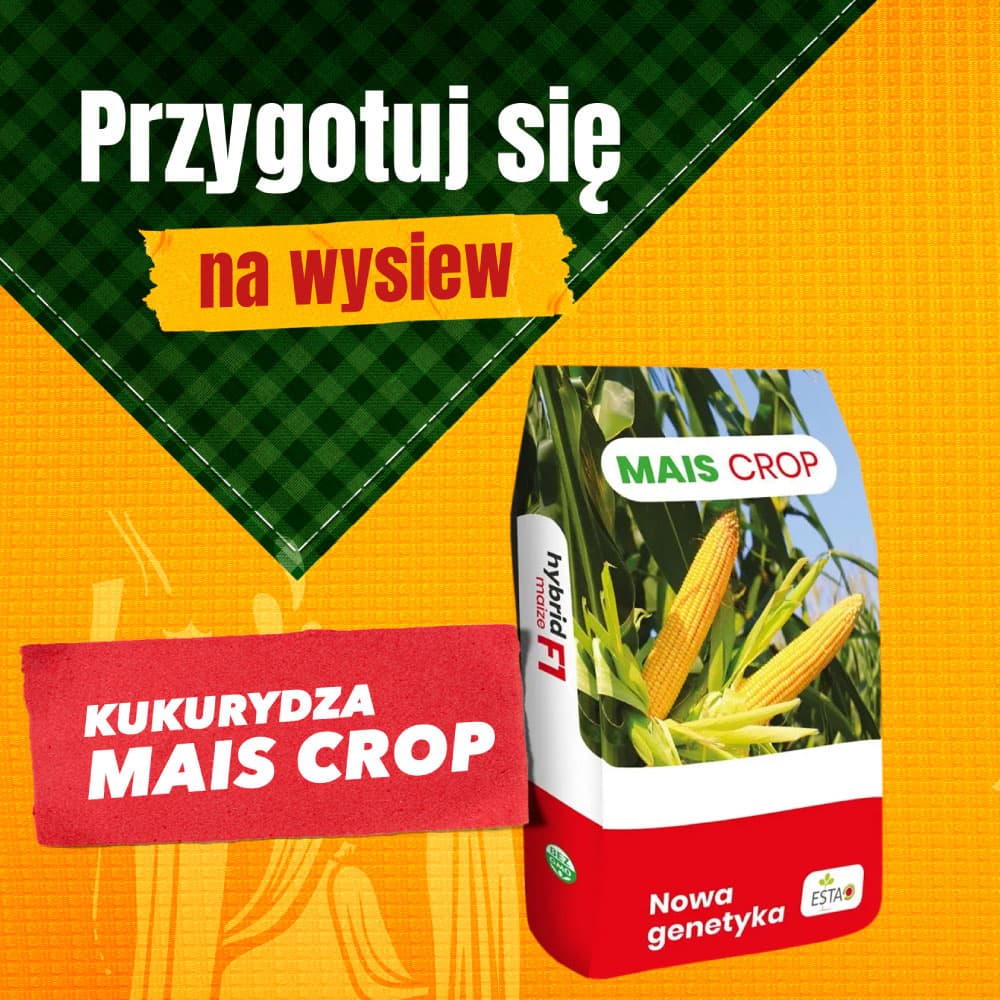 Folia do bel Ensibal