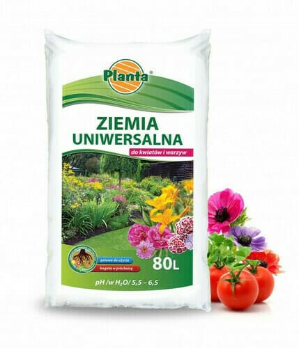 Ziemia i podłoża