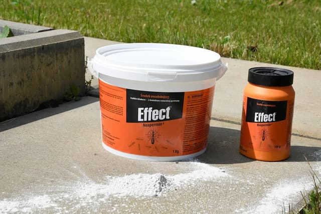 Neopermin+ proszek owadobójczy przeciw mrówkom 1000 g Effect
